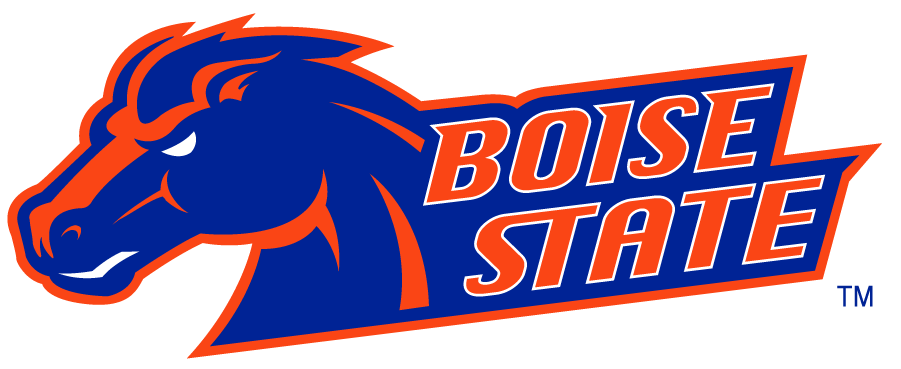 Boise State Broncos 2002-2012 Secondary Logo v7 iron on transfers for T-shirts